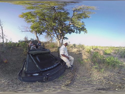 Safari 360 Video Thumbnail